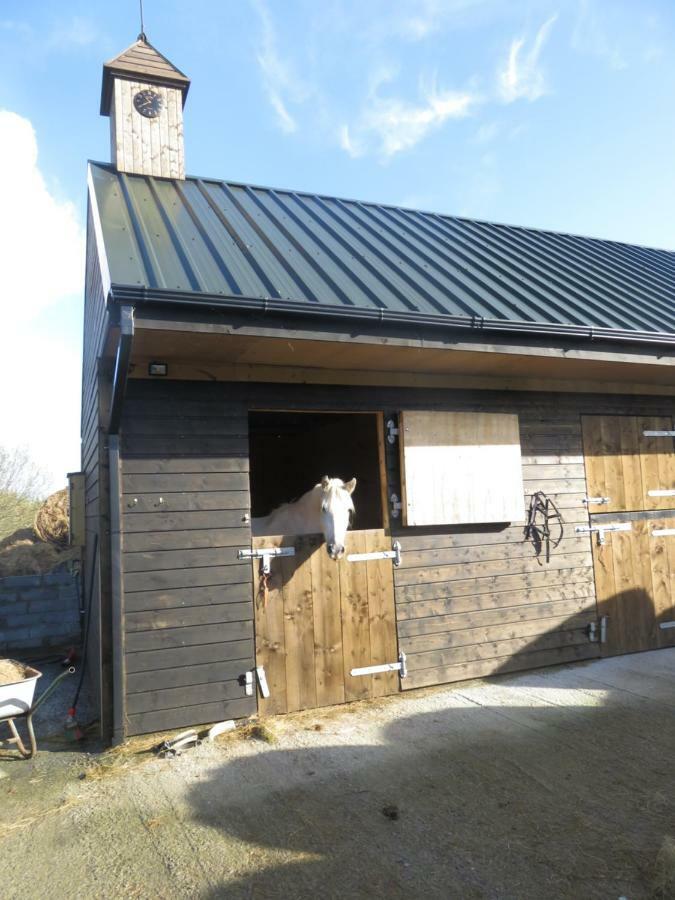 Bunkhouse - Letterfrack Farm Villa Buitenkant foto